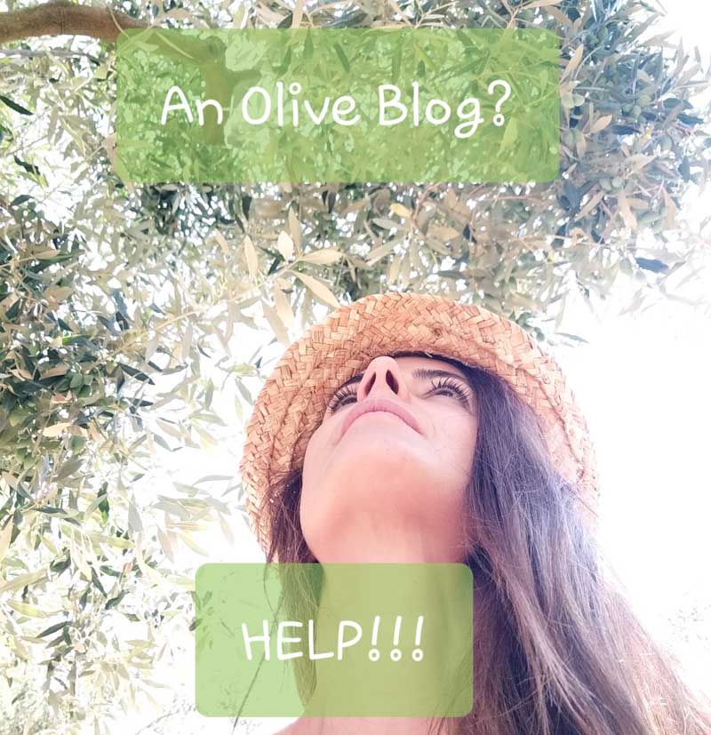 olive blog need